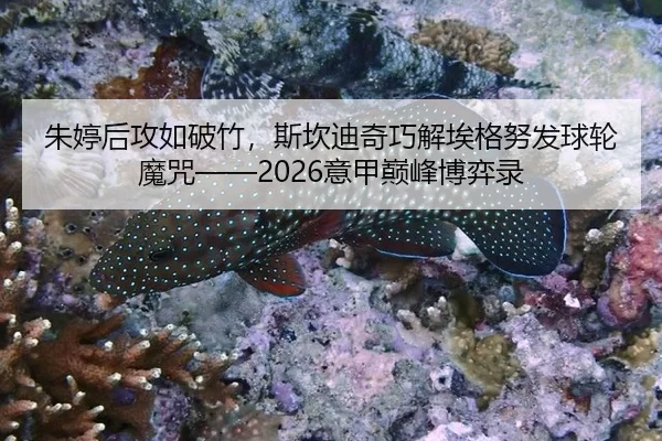 朱婷后攻如破竹，斯坎迪奇巧解埃格努发球轮魔咒——2026意甲巅峰博弈录